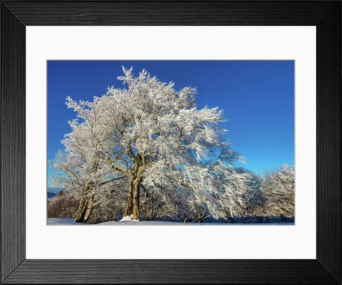 Framed Print : Switzerland, Canton Zurich, Tosstal, viewpoint, hoarfrost Framed Print : Switzerland, Canton Zurich, Tosstal, viewpoint, hoarfrost