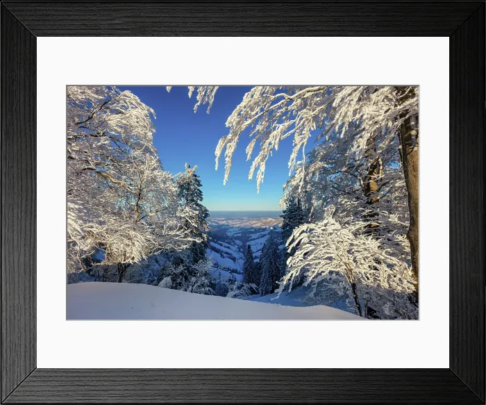 Framed Print : Switzerland, Canton Zurich, Tosstal, viewpoint, hoarfrost Framed Print : Switzerland, Canton Zurich, Tosstal, viewpoint, hoarfrost