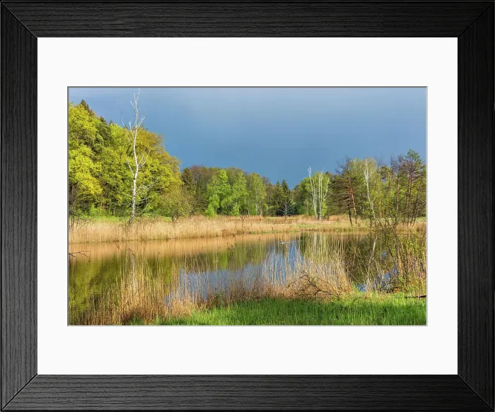 Framed Print : Switzerland, Canton Zurich, pond, Nature Reserve, near Ossingen village Framed Print : Switzerland, Canton Zurich, pond, Nature Reserve, near Ossingen village