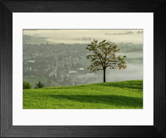 Framed Print : Switzerland, St. Gallen Canton, Gams, church with tree and fog Framed Print : Switzerland, St. Gallen Canton, Gams, church with tree and fog