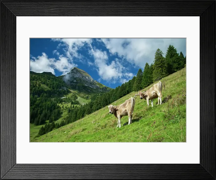 Framed Print : Switzerland, St. Gallen, Grabs, Margelkopf Framed Print : Switzerland, St. Gallen, Grabs, Margelkopf