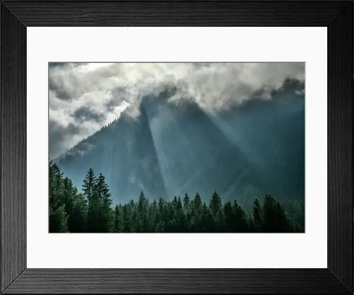 Framed Print : Switzerland, St. Gallen, Voralp, fog and spruce forest Framed Print : Switzerland, St. Gallen, Voralp, fog and spruce forest