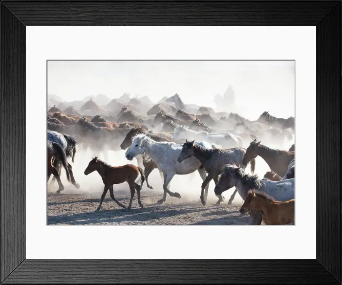 Framed Print : Yilki horses, Cappadocia, Nevsehir Province, Central Anatolia, Turkey Framed Print : Yilki horses, Cappadocia, Nevsehir Province, Central Anatolia, Turkey