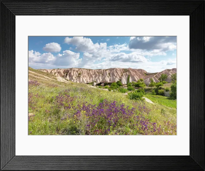 Framed Print : Spring flowers and rock formations, Uchisar, Cappadocia, Nevsehir Province, Central Anatolia, Turkey Framed Print : Spring flowers and rock formations, Uchisar, Cappadocia, Nevsehir Province, Central Anatolia, Turkey