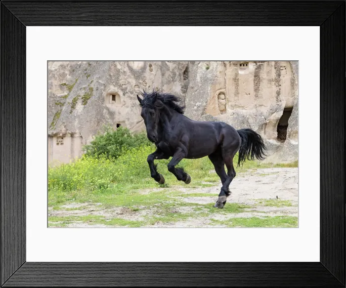 Framed Print : horse; horses; equine; equus; turkish; Cappadocia; Nevsehir Province; Central Anatolia; black; Goreme; Turkey; Asia; Turkish, breed, church, churches, Asian; UNESCO world heritage site; wild; animal, friesian, dutch, running