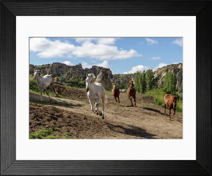 Framed Print : Horses run free near Goreme, Cappadocia, Nevsehir Province, Central Anatolia, Turkey Framed Print : Horses run free near Goreme, Cappadocia, Nevsehir Province, Central Anatolia, Turkey