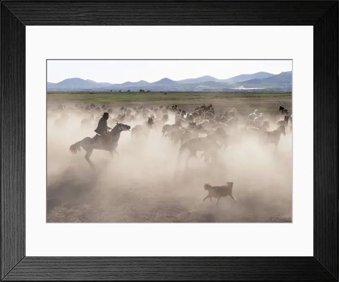 Framed Print : A cowboy in the dust with Yilki horses, Cappadocia, Nevsehir Province, Central Anatolia, Turkey Framed Print : A cowboy in the dust with Yilki horses, Cappadocia, Nevsehir Province, Central Anatolia, Turkey