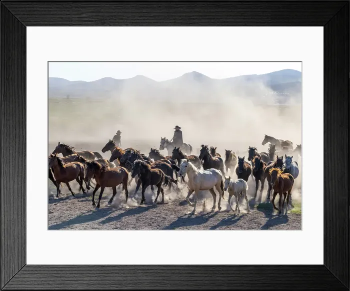 Framed Print : A cowboy rounding up Yilki horses, Cappadocia, Nevsehir Province, Central Anatolia, Turkey Framed Print : A cowboy rounding up Yilki horses, Cappadocia, Nevsehir Province, Central Anatolia, Turkey