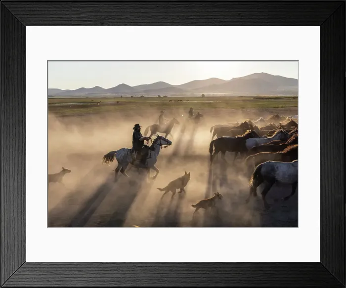 Framed Print : Rounding up Yilki horses, Cappadocia, Nevsehir Province, Central Anatolia, Turkey Framed Print : Rounding up Yilki horses, Cappadocia, Nevsehir Province, Central Anatolia, Turkey