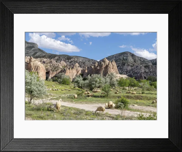 Framed Print : Sheep grazing near Goreme, Cappadocia; Nevsehir Province; Central Anatolia; Turkey Framed Print : Sheep grazing near Goreme, Cappadocia; Nevsehir Province; Central Anatolia; Turkey