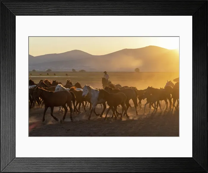 Framed Print : Yilki horses, Cappadocia, Nevsehir Province, Central Anatolia, Turkey Framed Print : Yilki horses, Cappadocia, Nevsehir Province, Central Anatolia, Turkey