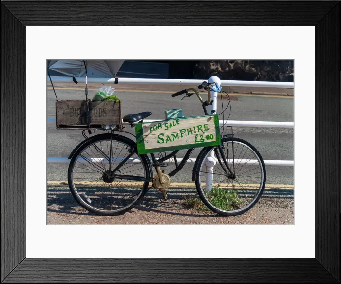 Framed Print : UK, England, Norfolk, Blakeney, Samphire for Sale sign on bicycle Framed Print : UK, England, Norfolk, Blakeney, Samphire for Sale sign on bicycle