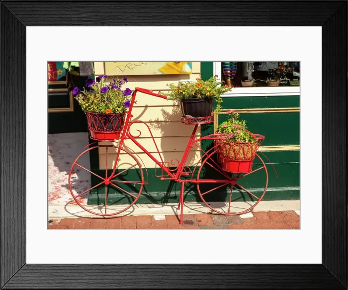 Framed Print : A red bicycle is a planter on the Washington Street Pedestrian Mall in Cape May, New Jersey