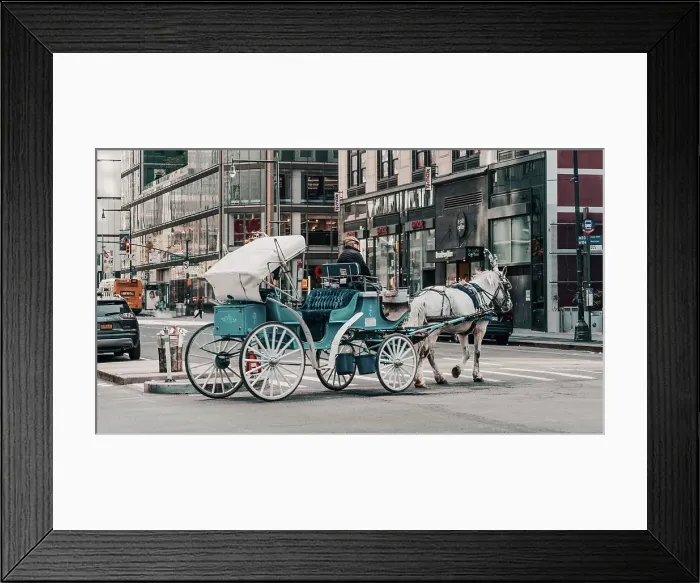 Framed Print : New York City, Horse Carriage in Manhattan, USA Framed Print : New York City, Horse Carriage in Manhattan, USA