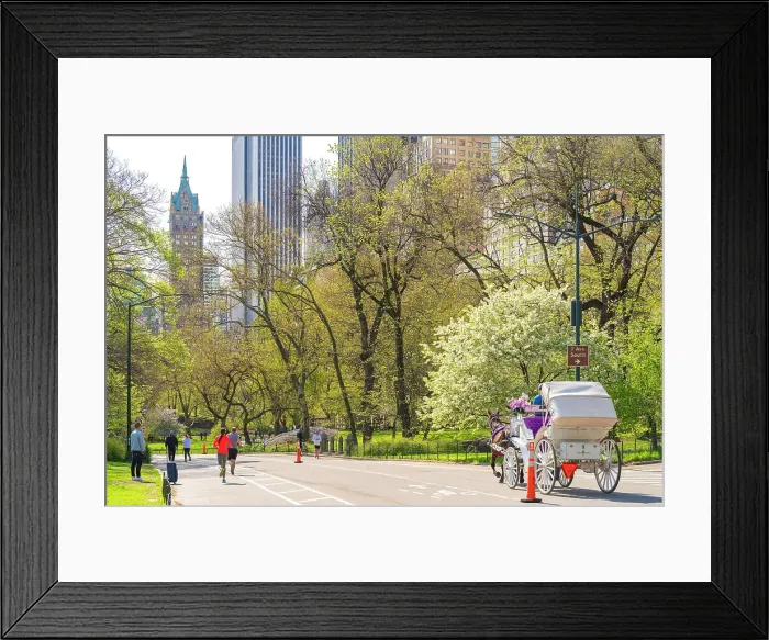 Framed Print : New York City, Horse Carriage in Central Park, Manhattan, USA Framed Print : New York City, Horse Carriage in Central Park, Manhattan, USA