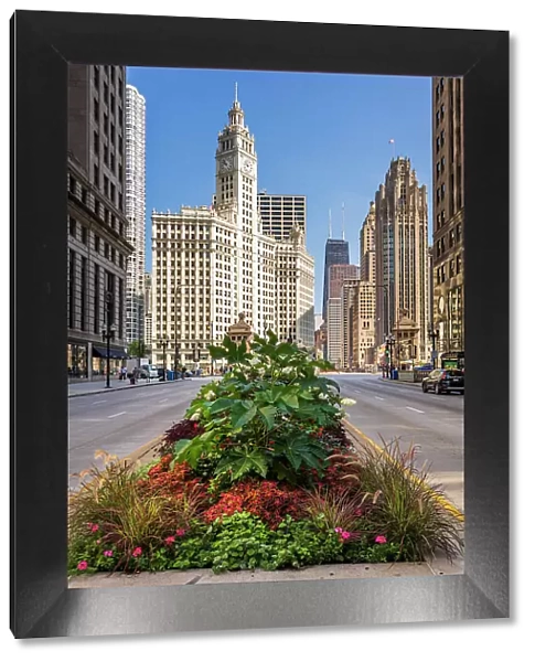 North Michigan Avenue (The Magnificent Mile), Chicago, Illinois, USA