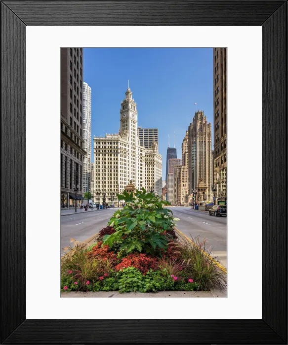 Framed Print : North Michigan Avenue (The Magnificent Mile), Chicago, Illinois, USA Framed Print : North Michigan Avenue (The Magnificent Mile), Chicago, Illinois, USA
