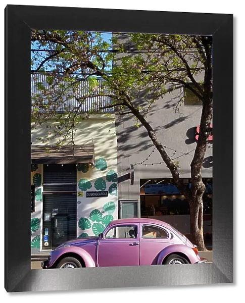 A Volkswagen Beetle vintage car in a street of the Palermo district, Buenos Aires, Argentina