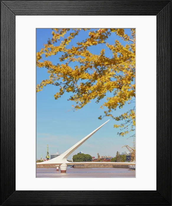 Framed Print : The Puente de la Mujer bridge in autumn, Puerto Madero, Buenos Aires, Argentina