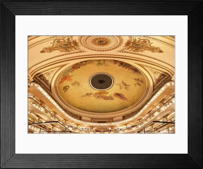 Framed Print : Interior of the Ateneo Grand Splendid Library (former Teatro Gran Splendid), Recoleta, Buenos Aires, Argentina. The dome ceiling was painted with frescoes by Italian artist Nazareno Orlandi in 1919 Framed Print : Interior of the Ateneo Grand Splendid Library (former Teatro Gran Splendid), Recoleta, Buenos Aires, Argentina. The dome ceiling was painted with frescoes by Italian artist Nazareno Orlandi in 1919