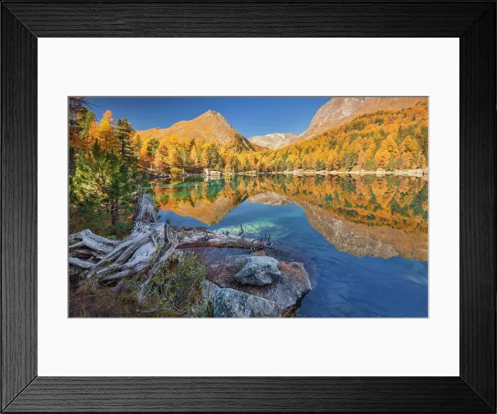 Framed Print : Autumn reflections on lake Saoseo, Poschiavo, Campo valley, Canton of Graubunden, Switzerland Framed Print : Autumn reflections on lake Saoseo, Poschiavo, Campo valley, Canton of Graubunden, Switzerland