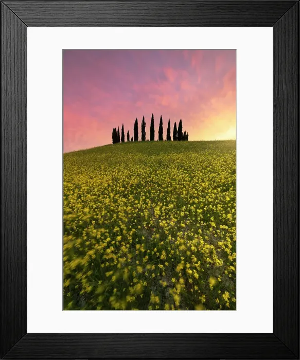 Framed Print : San Quirico d'Orcia during a spring sunset, San Quirico d'Orcia, Siena Province, Tuscany, Italy Framed Print : San Quirico d'Orcia during a spring sunset, San Quirico d'Orcia, Siena Province, Tuscany, Italy