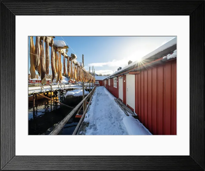 Framed Print : Fishing village of Nusfjord, with cod drying in the sun, Nusfjord, Lofoten island, Norway