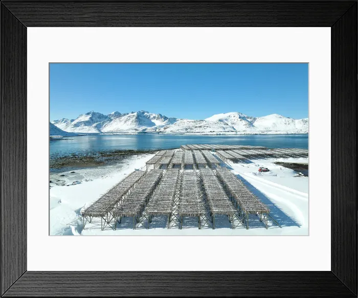 Framed Print : Wood structure for drying cod near to Ramberg beach, Ramberg, Lofoten island, Norway Framed Print : Wood structure for drying cod near to Ramberg beach, Ramberg, Lofoten island, Norway