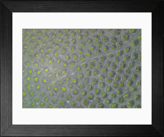 Framed Print : Circular vineyard, La Geria, Lanzarote, Canary Island, Spain Framed Print : Circular vineyard, La Geria, Lanzarote, Canary Island, Spain