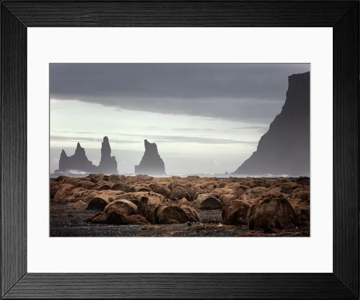 Framed Print : Vik I Myrdal, Iceland, North Atlantic Ocean