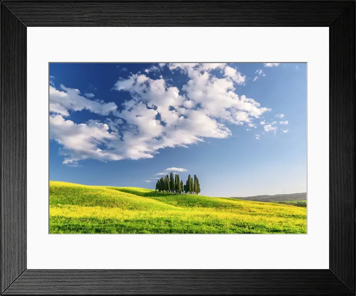 Framed Print : Cypress Grove near san Quirico d'orcia, val d'orcia, san Quirico d'orcia, Siena, Tuscany, italy Framed Print : Cypress Grove near san Quirico d'orcia, val d'orcia, san Quirico d'orcia, Siena, Tuscany, italy