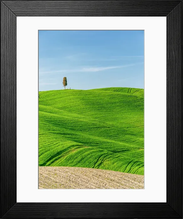 Framed Print : hills of val d'orcia, val d'orcia, pienza, siena, Tuscany, italy Framed Print : hills of val d'orcia, val d'orcia, pienza, siena, Tuscany, italy