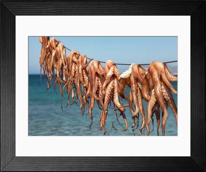 Framed Print : Sun dried octopus at the fishing village of Mandrakia (Plaka, Milos Island, Cyclades Islands, Greece, Europe)