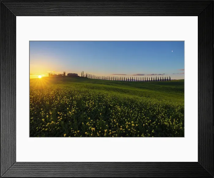 Framed Print : Farmhouse Poggio Covili at sunrise during spring, Castiglione D'Orcia, Siena, Tuscany, Italy Framed Print : Farmhouse Poggio Covili at sunrise during spring, Castiglione D'Orcia, Siena, Tuscany, Italy