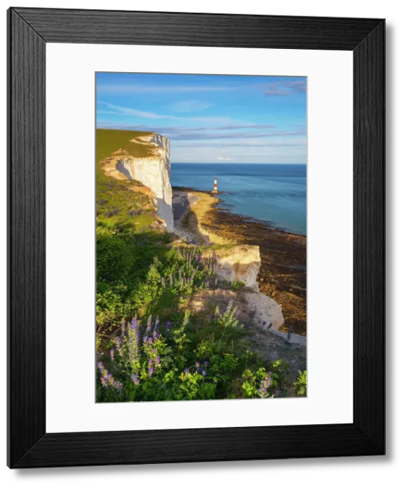 Framed Print : Sunset at Beachy Head lighthouse, Eastbourne, Beachy Head, East Sussex, United Kingdom Framed Print : Sunset at Beachy Head lighthouse, Eastbourne, Beachy Head, East Sussex, United Kingdom