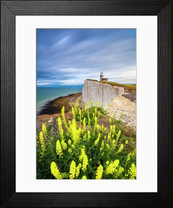 Framed Print : Sunrise at Belle Tout lighthouse, Eastbourne, Beachy Head, East Sussex, United Kingdom