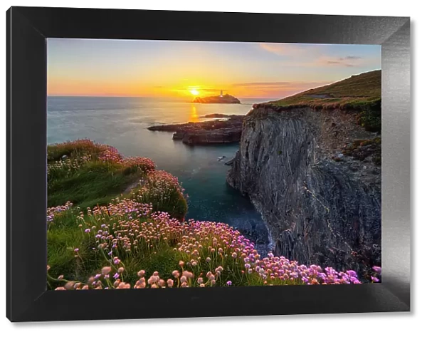 Godrevy lighthouse at sunset with flowers and cliffs, Godrevy island, Cornwall, United Kingdom