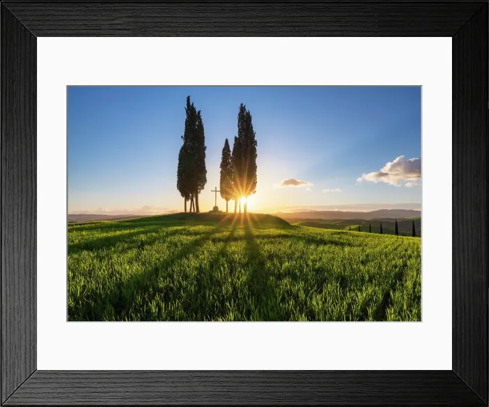Framed Print : Cypresses at Sunrise at Croce di prata, San Quirico d'Orcia, Siena, Tuscany, Italy