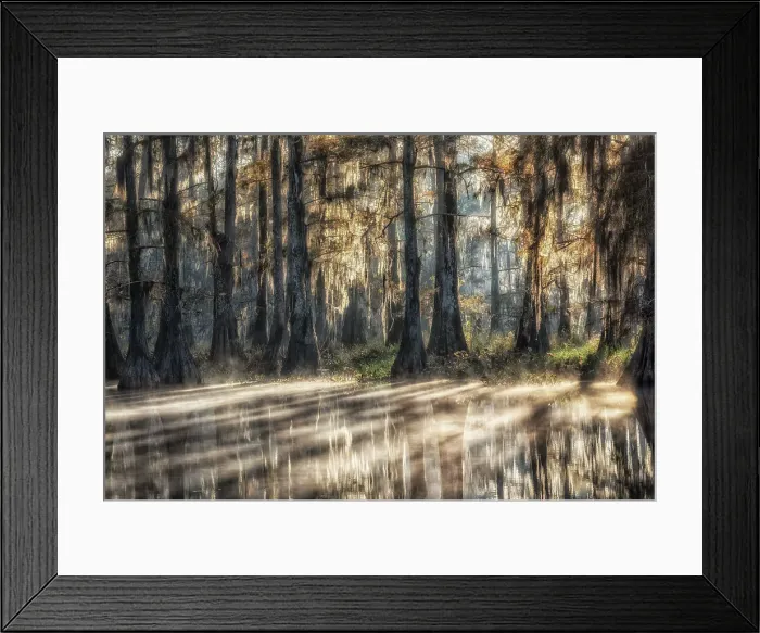 Framed Print : Sunrise in Atchafalaya Basin in Autumn, Louisiana, USA Framed Print : Sunrise in Atchafalaya Basin in Autumn, Louisiana, USA