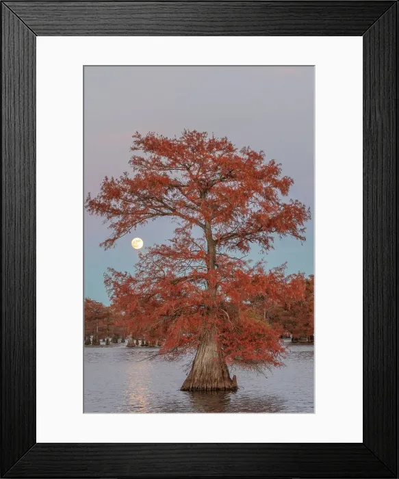 Framed Print : Full mooon above Lake Caddo, Texas, USA Framed Print : Full mooon above Lake Caddo, Texas, USA