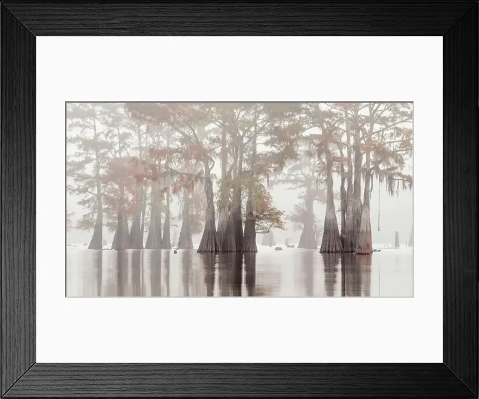 Framed Print : Atchafalaya Basin in Autumn, Louisiana