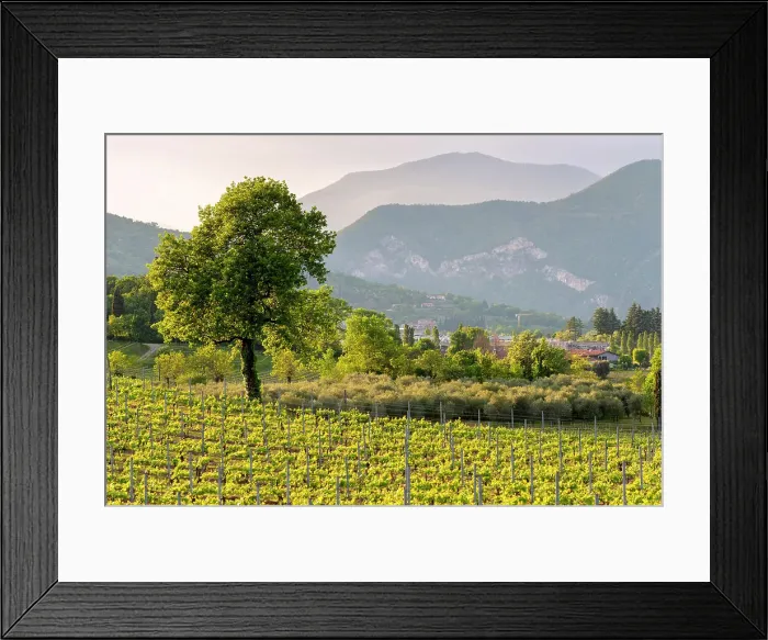 Framed Print : Franciacorta, Brescia province in Lombardy district, Italy Framed Print : Franciacorta, Brescia province in Lombardy district, Italy