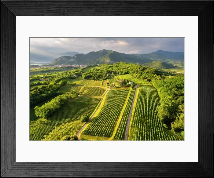Framed Print : Franciacorta vineyards aerial view at sunset in Brescia province, Lombardy district, Italy Framed Print : Franciacorta vineyards aerial view at sunset in Brescia province, Lombardy district, Italy