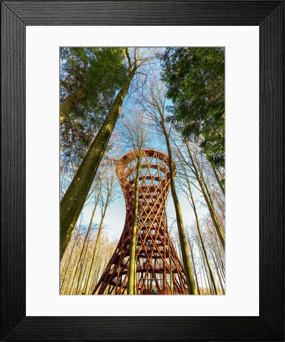 Framed Print : Architectural view of the structure of the forest tower rising high in the wood, in the winter, Zealand, Denmark Framed Print : Architectural view of the structure of the forest tower rising high in the wood, in the winter, Zealand, Denmark