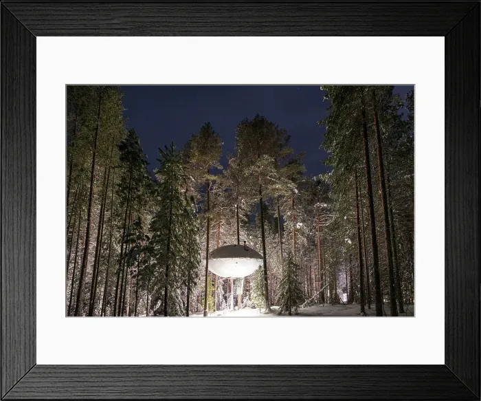 Framed Print : Futuristic UFO shaped room for tourists suspended among tall trees, Tree hotel, Harads, Lapland, Sweden Framed Print : Futuristic UFO shaped room for tourists suspended among tall trees, Tree hotel, Harads, Lapland, Sweden