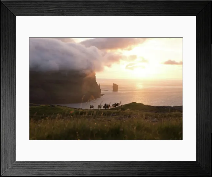 Framed Print : A flock of sheep in front of the coast of the village of Eiði at sunset. In the backgroud the Rising and Kellingin sea stacks. Island of Eysturoy. Faroe Islands Framed Print : A flock of sheep in front of the coast of the village of Eiði at sunset. In the backgroud the Rising and Kellingin sea stacks. Island of Eysturoy. Faroe Islands