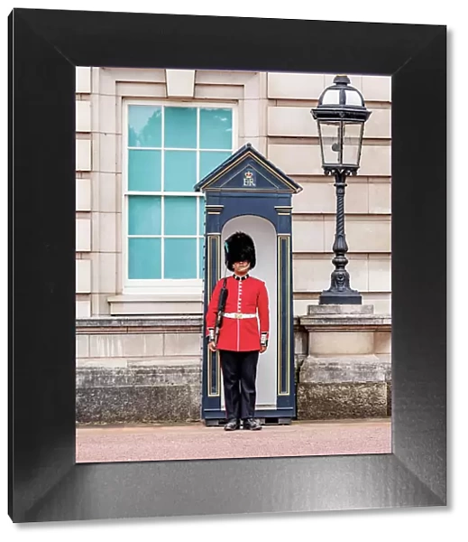 Guard at the Buckingham Palace, London, England, United Kingdom