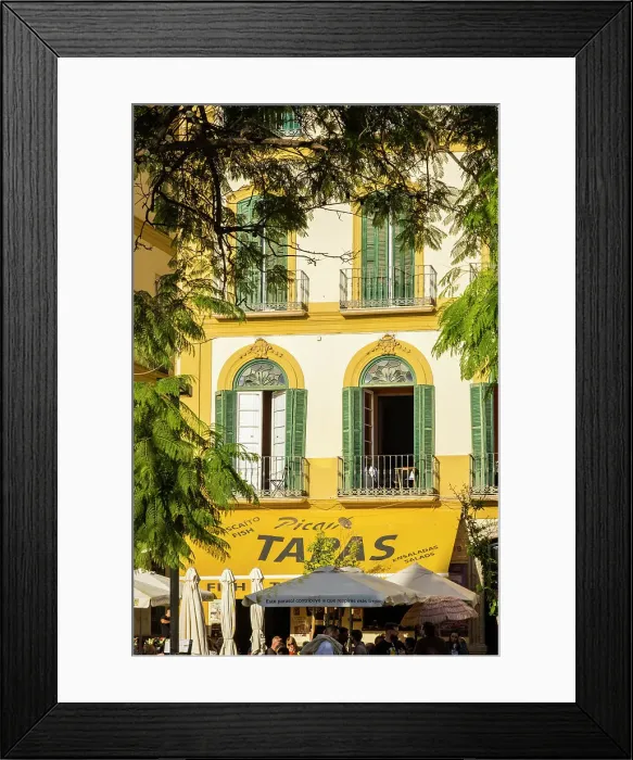 Framed Print : Plaza de la Merced, Malaga City, Andalusia, Spain