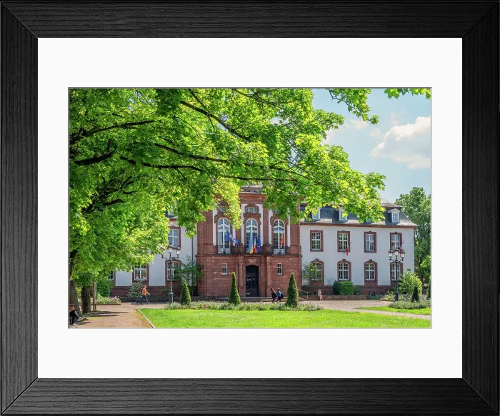 Framed Print : City hall of Hagenau, Bas-Rhin, Alsace, Alsace-Champagne-Ardenne-Lorraine, Grand Est, France