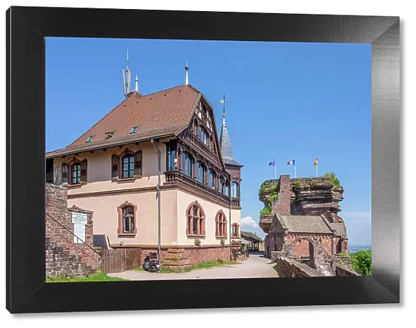 Chateau Haut-Barr near Saverne, Bas-Rhin, Alsace, Alsace-Champagne-Ardenne-Lorraine, Grand Est, France